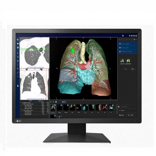 EIZO RadiForce MX243W
